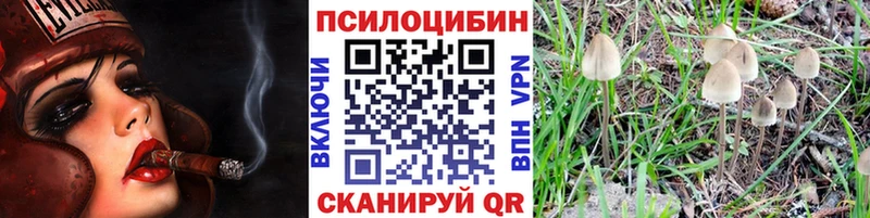 Псилоцибиновые грибы Magic Shrooms  Купить  Среднеуральск 
